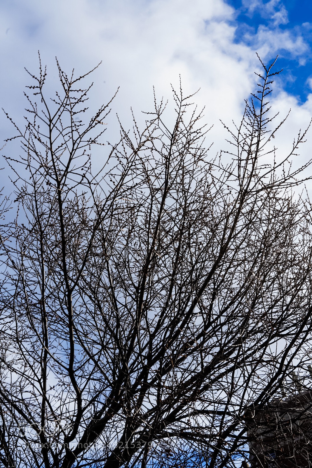 Sony a7R III sample photo. Untitled photography
