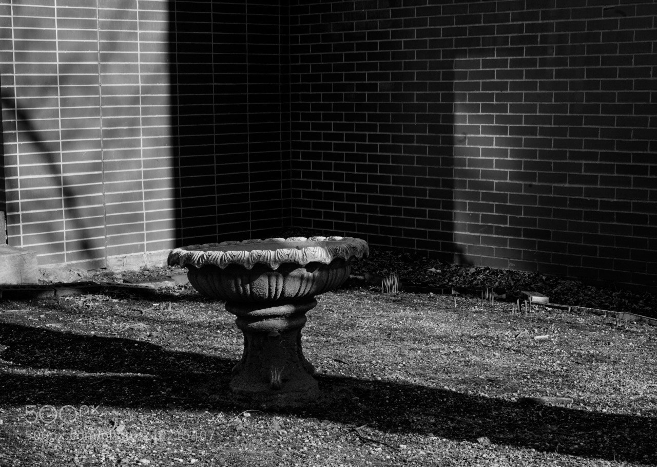 Sony a7R III sample photo. Untitled photography