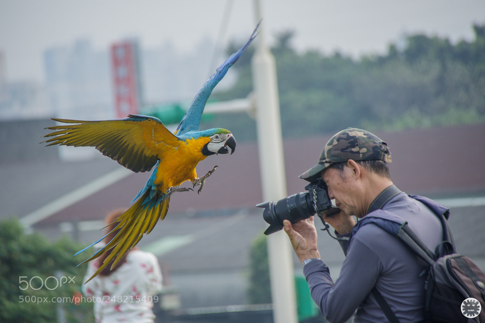 Canon EOS 7D Mark II sample photo. Untitled photography