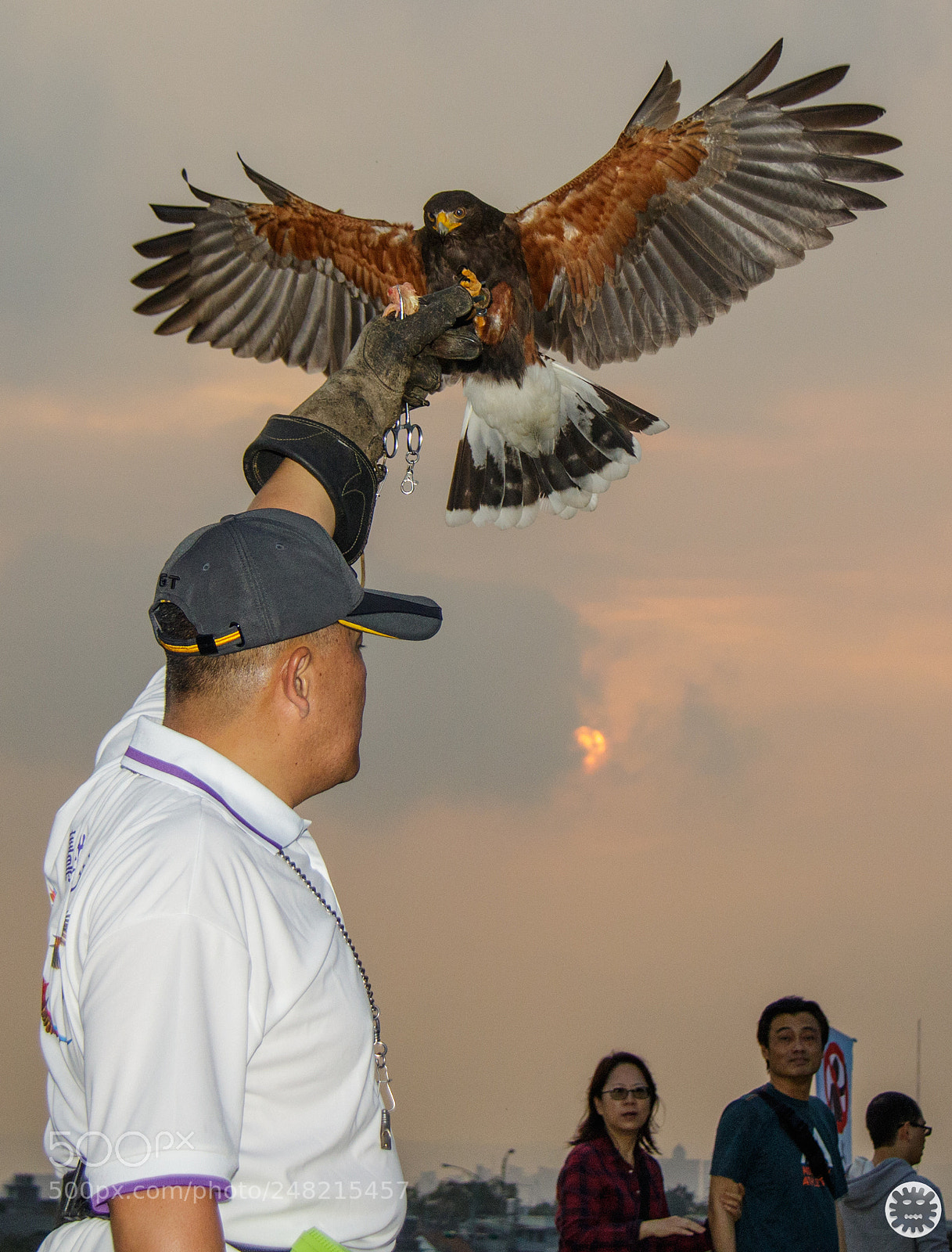 Canon EOS 7D Mark II sample photo. Untitled photography