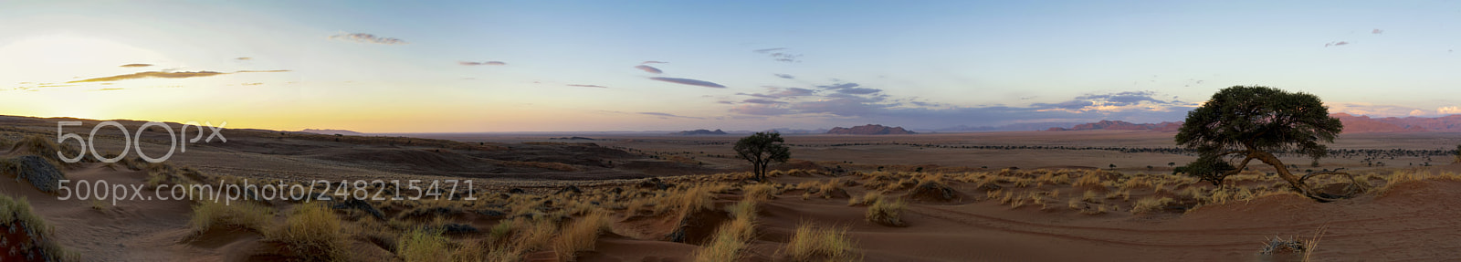 Nikon D5200 sample photo. Namib desert lodge photography