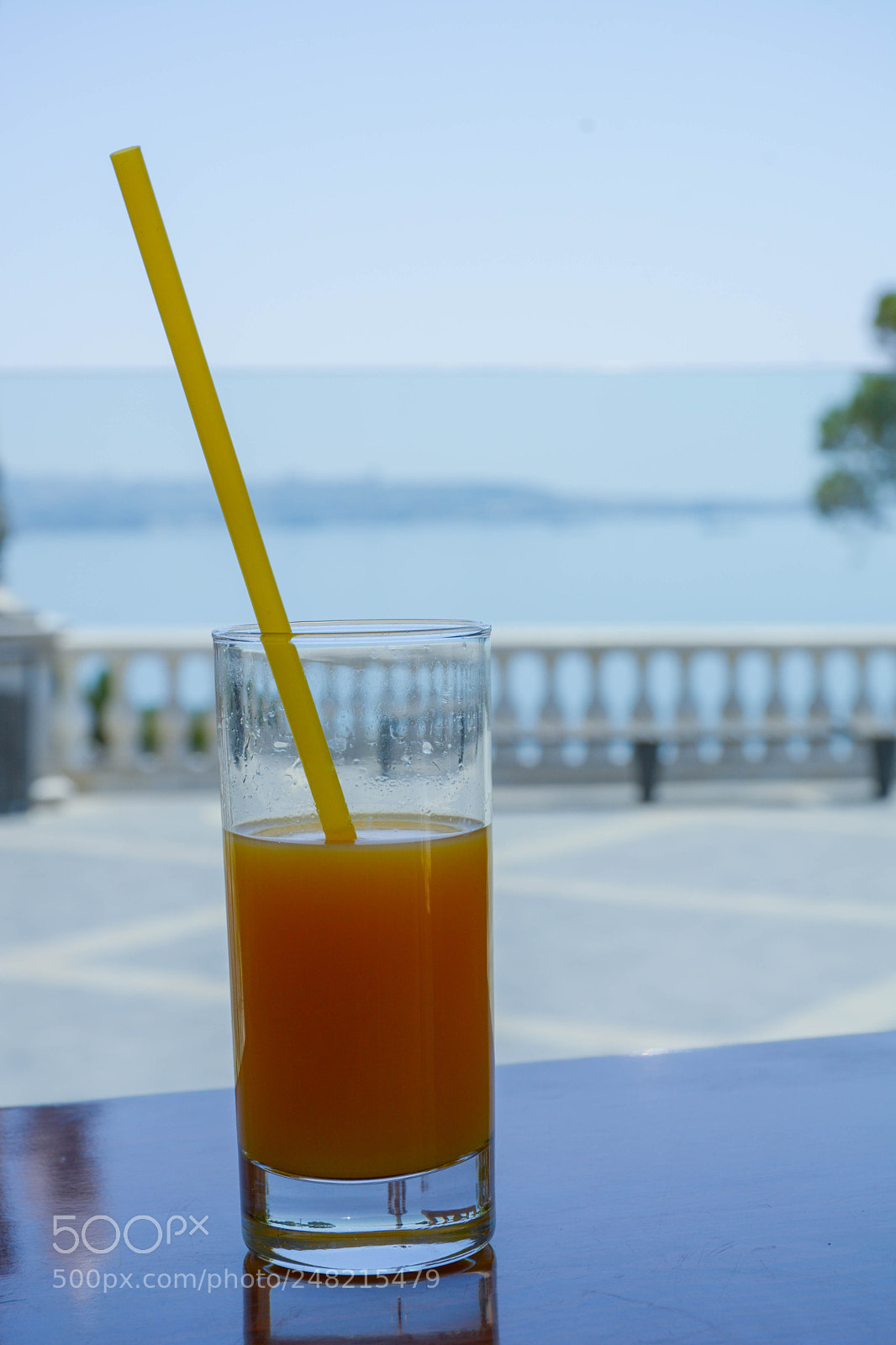 Nikon D7100 sample photo. Untitled photography