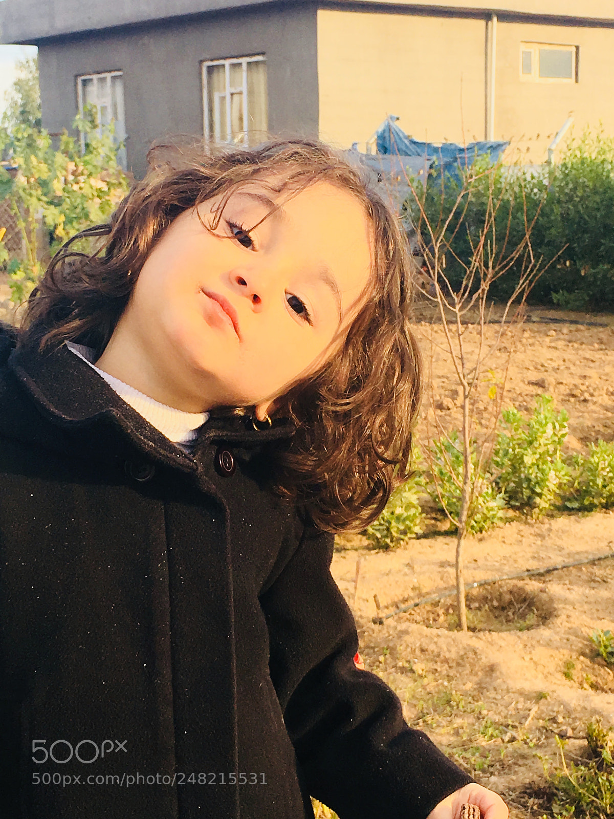 Apple iPhone 6s sample photo. Untitled photography