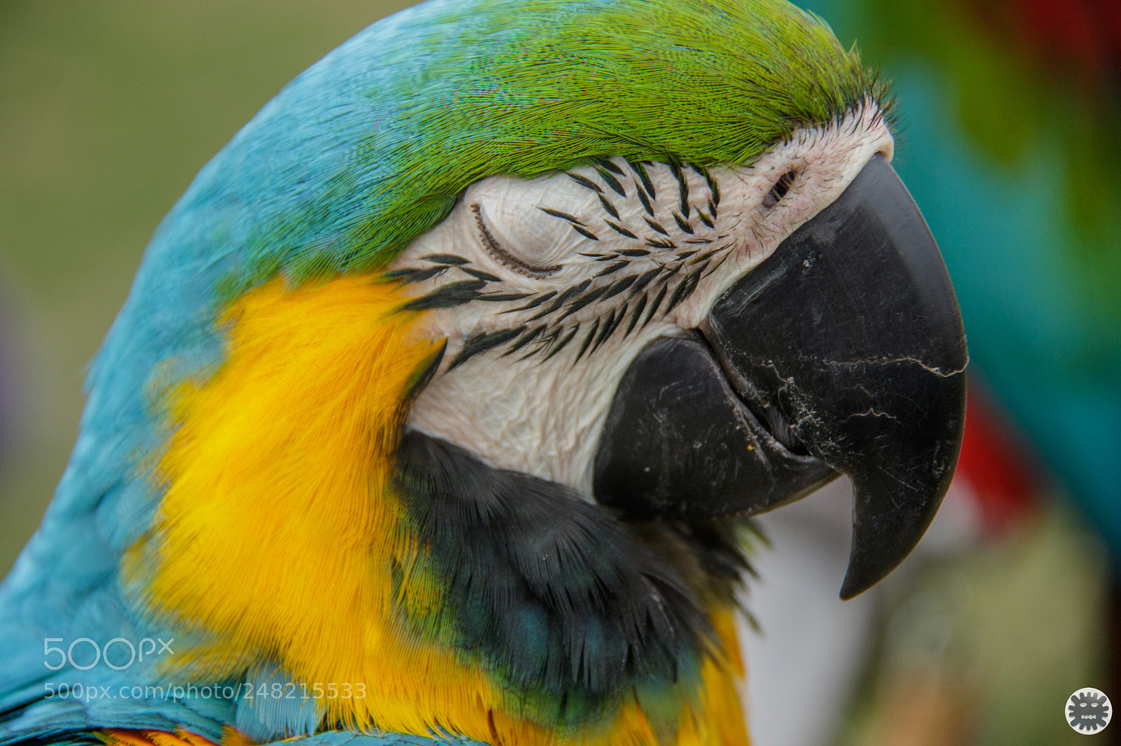 Canon EOS 7D Mark II sample photo. Untitled photography