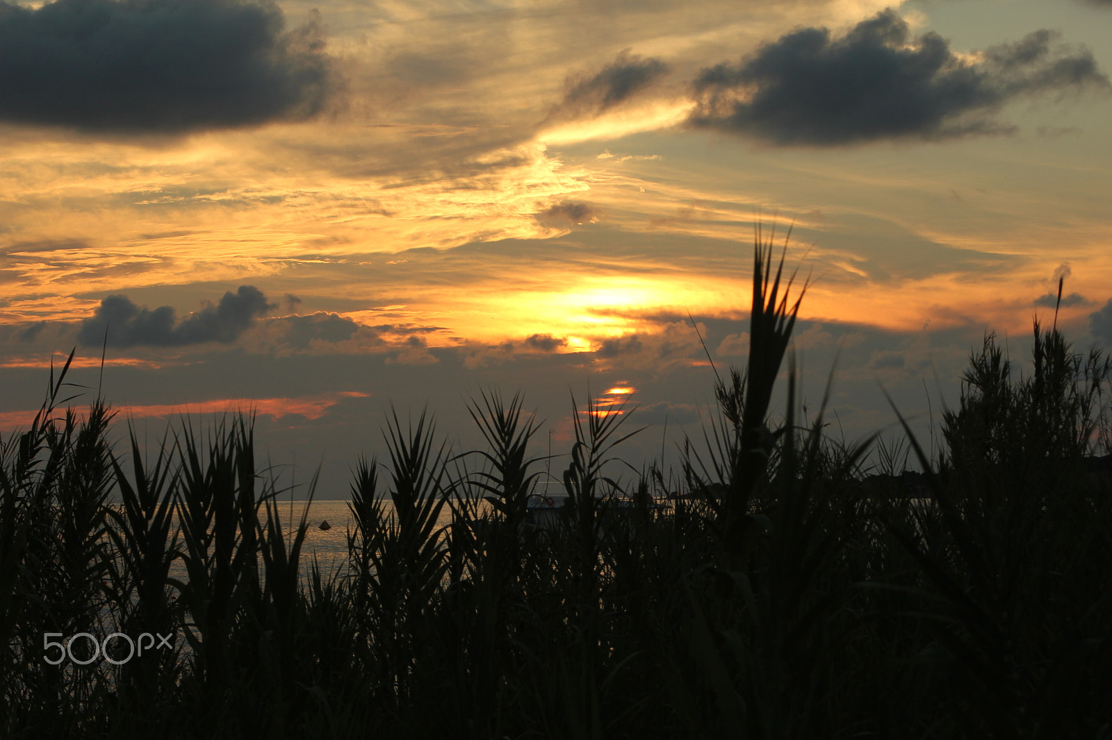 Canon EOS 550D (EOS Rebel T2i / EOS Kiss X4) sample photo. Img sunset at the sea photography
