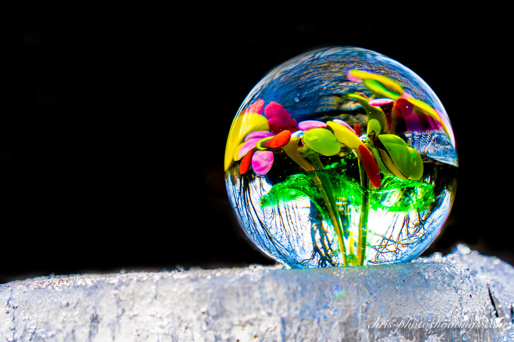 Sony a6300 sample photo. Ice photography