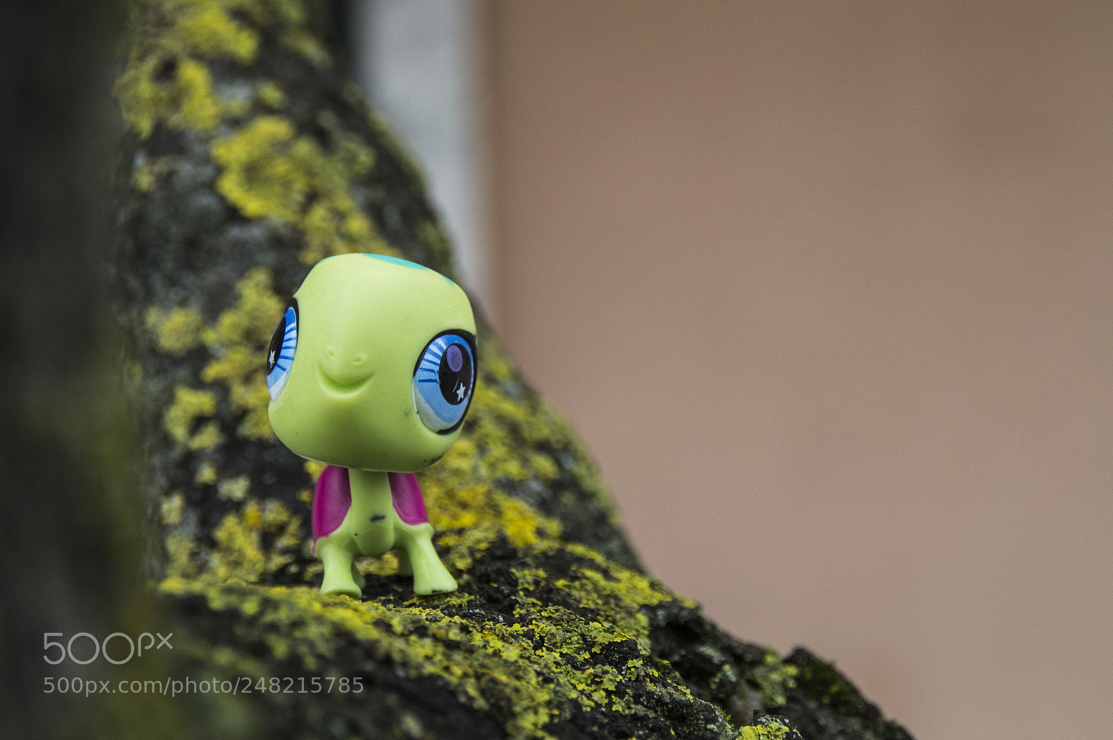 Nikon D3200 sample photo. Verdinho photography