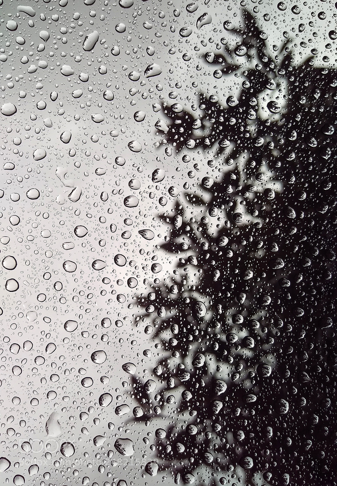 HTC ONE M9 sample photo. Untitled photography