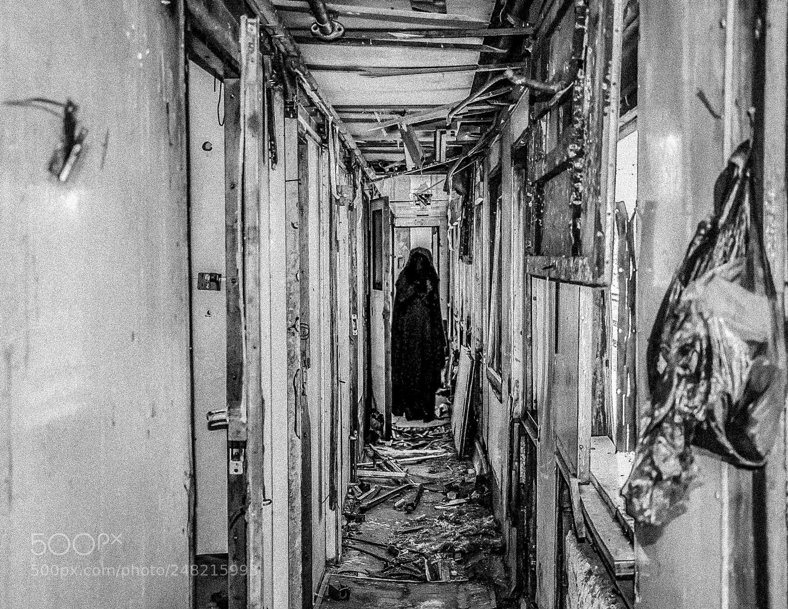 Nikon D90 sample photo. Untitled photography