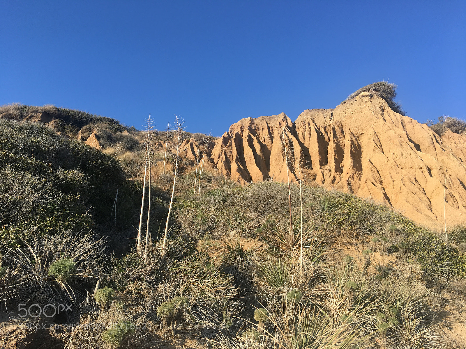 Apple iPhone 6s Plus sample photo. Malibu pt 2 photography