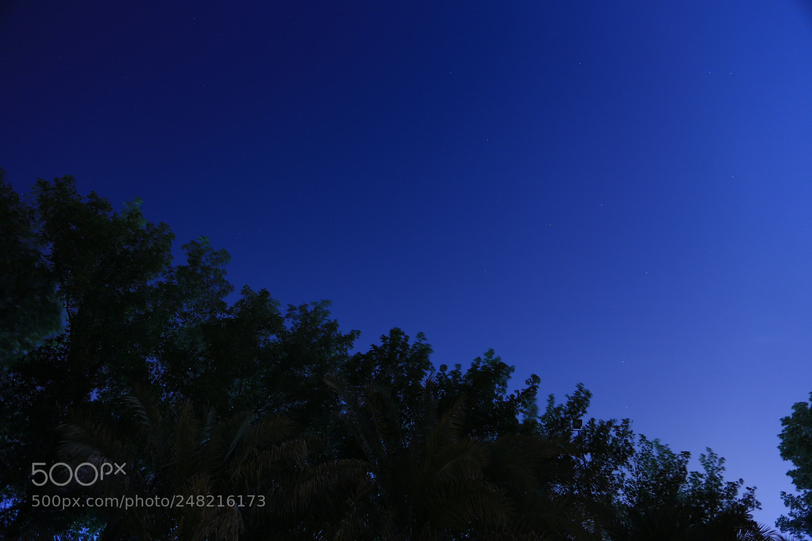Canon EOS 6D + Canon EF 24-105mm F4L IS USM sample photo. Untitled photography