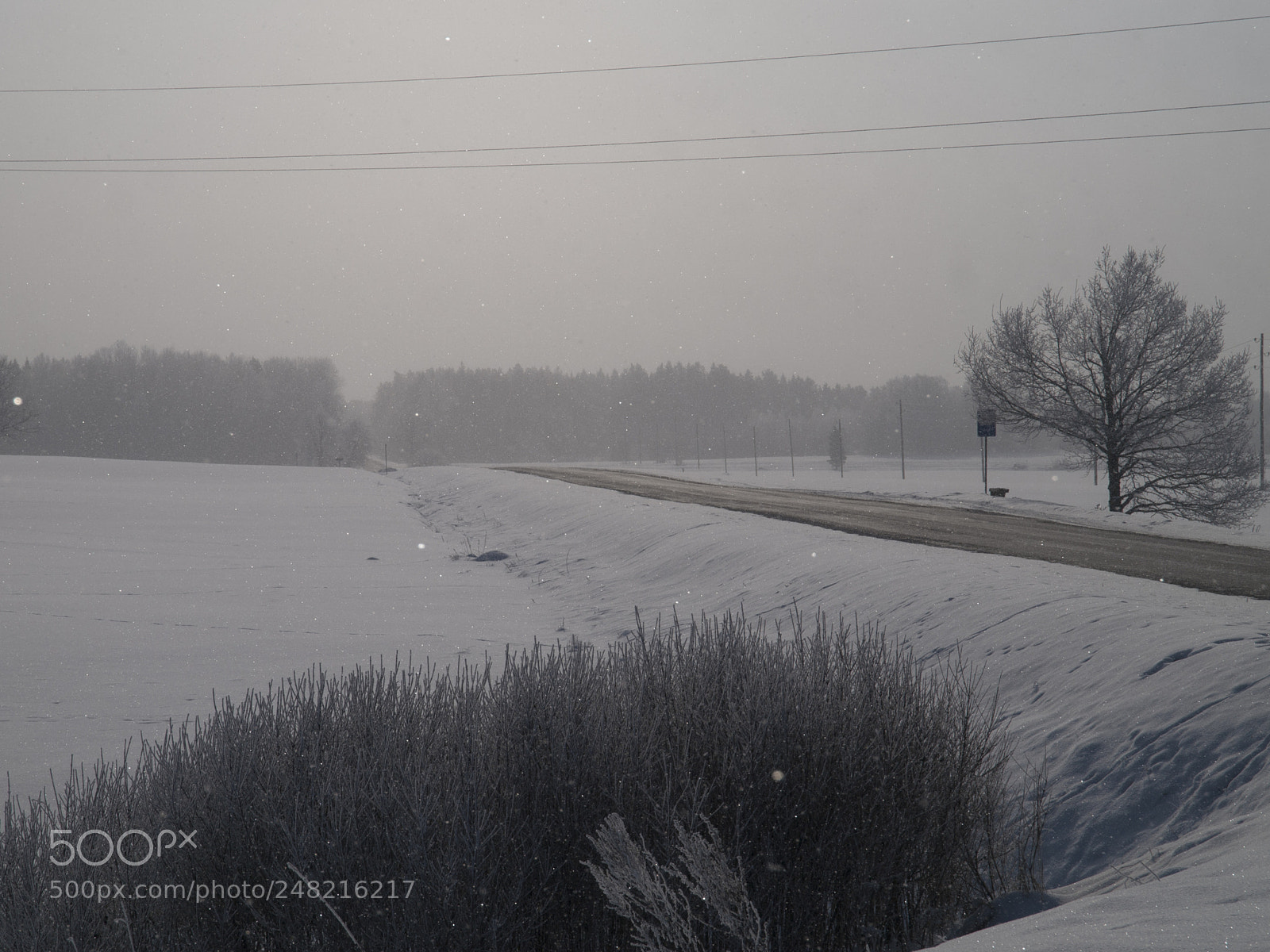 Olympus E-3 sample photo. Road to winter photography