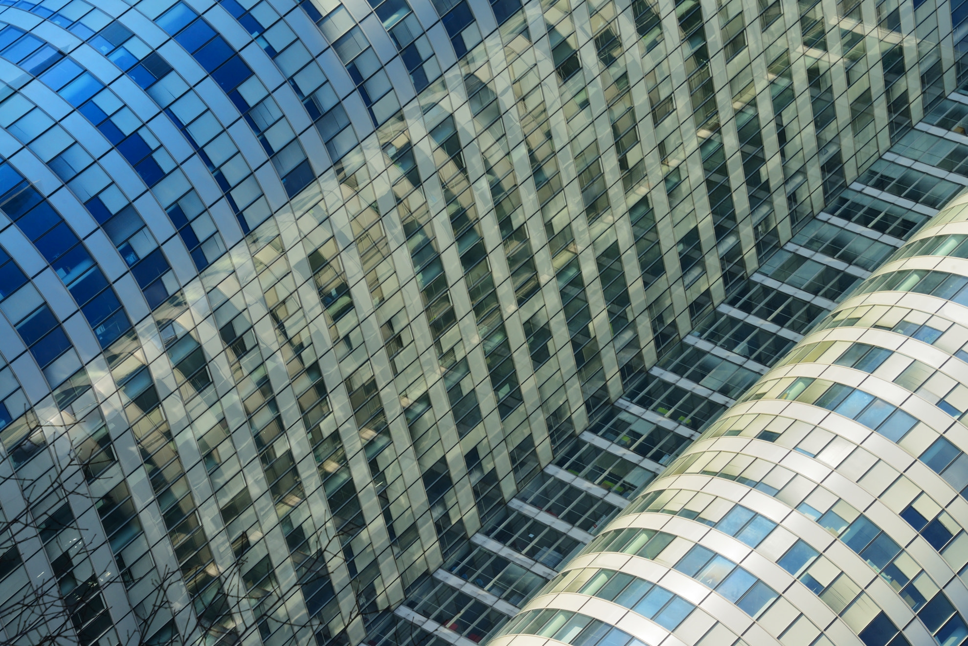 Nikon D800 sample photo. La defense - curves photography
