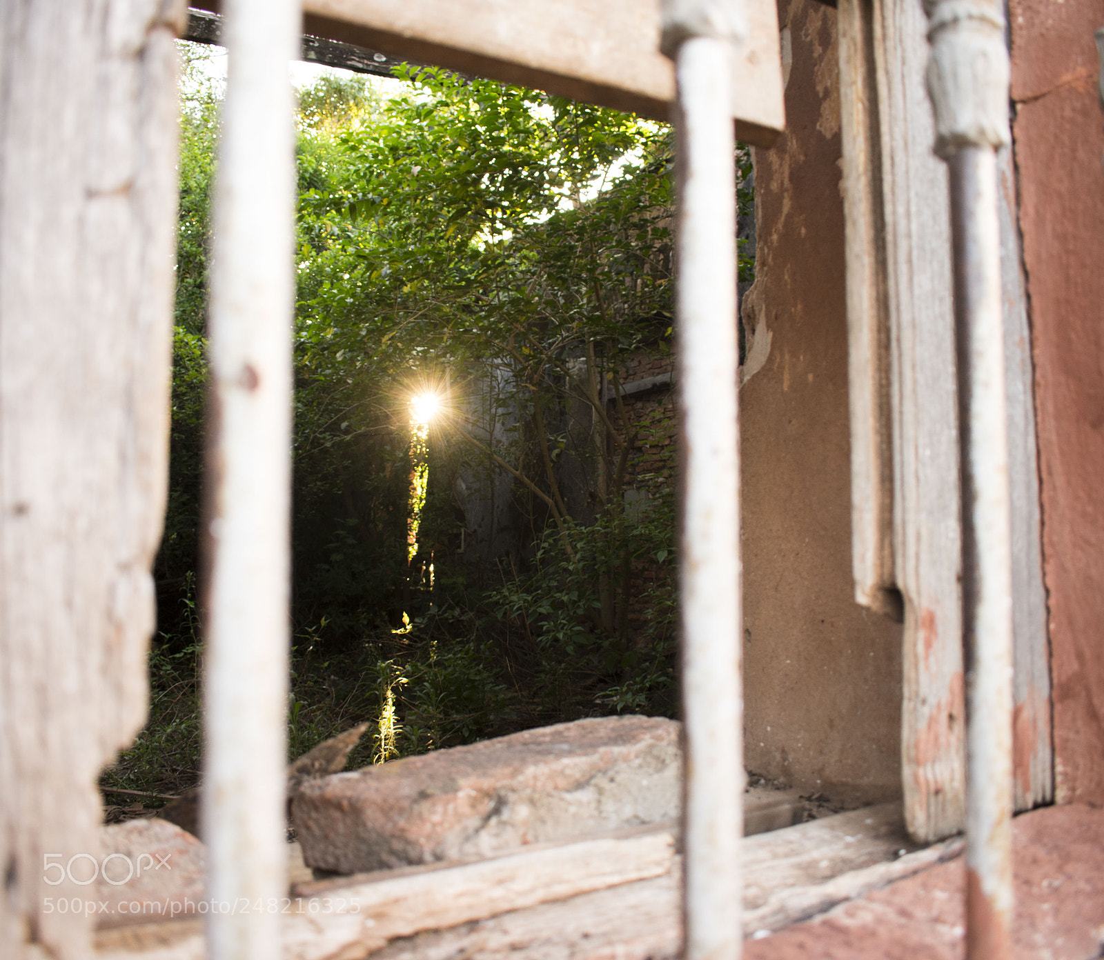 Nikon D3400 sample photo. Light against reality photography