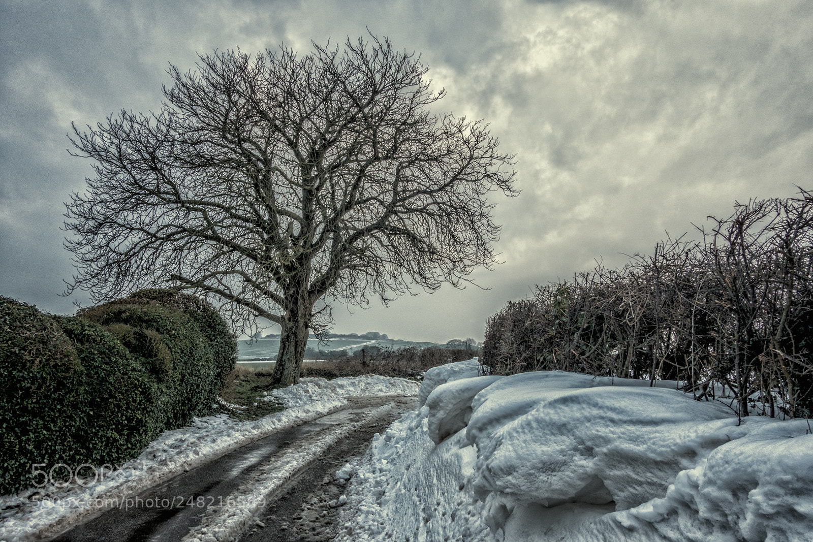 Sony Cyber-shot DSC-RX100 II sample photo. Snowbound photography