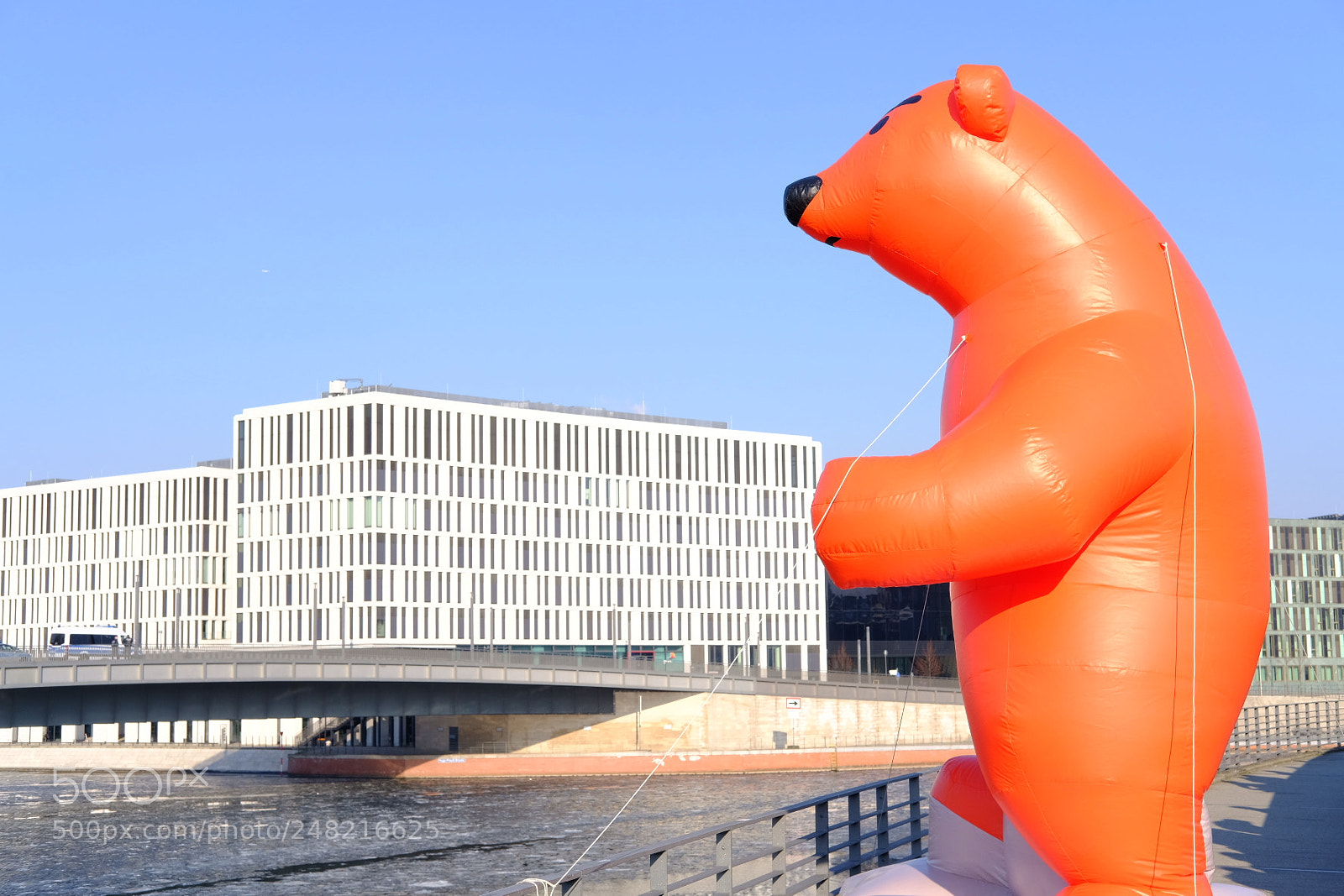 Fujifilm X-Pro2 sample photo. Bear photography