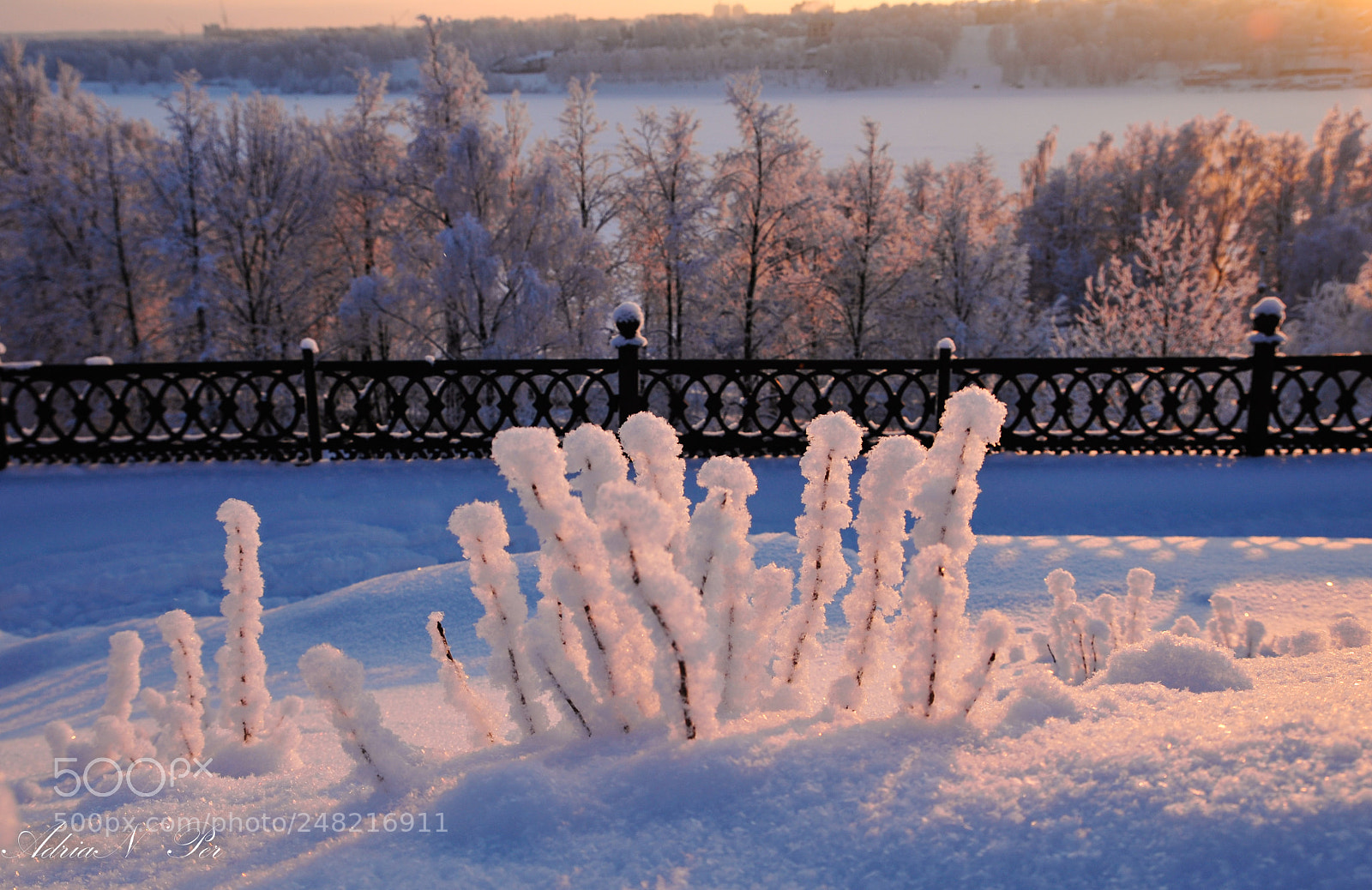 Nikon D300S sample photo. Frost on volga photography