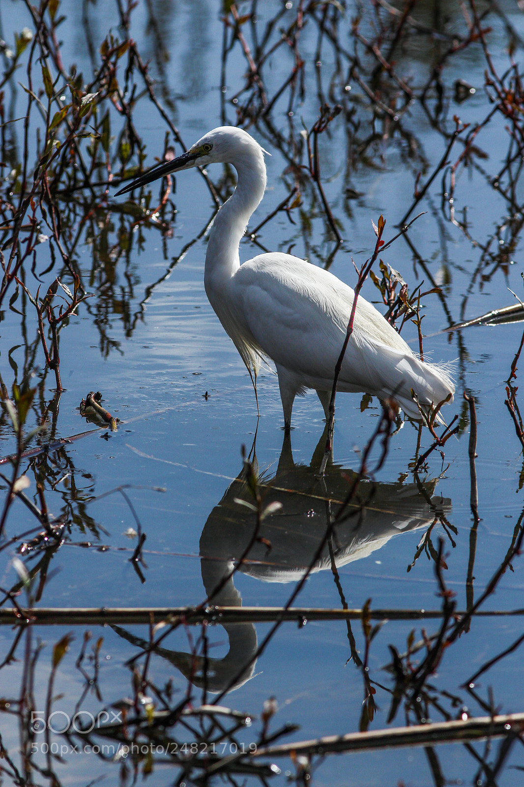 Canon EOS 700D (EOS Rebel T5i / EOS Kiss X7i) sample photo. Lake patrol photography