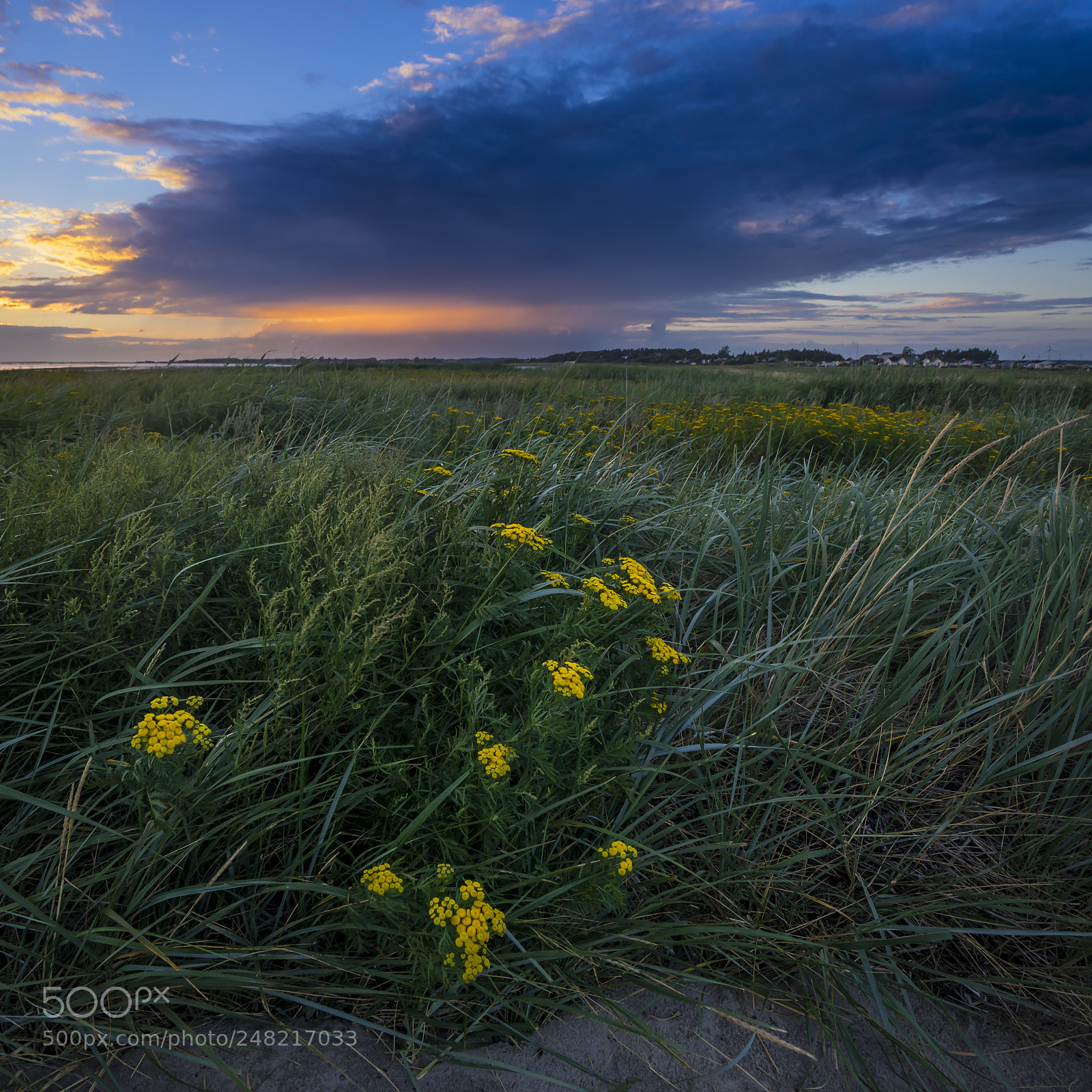 Sony a7 II sample photo. Evening on swedish west photography