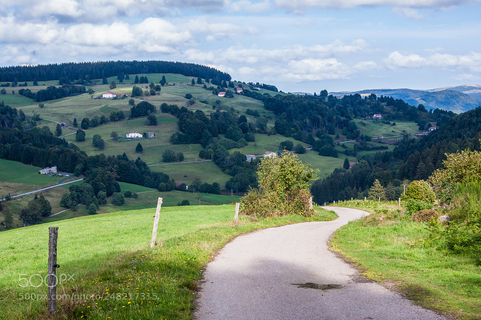 Canon EOS 50D sample photo. Sunny path through shaded photography