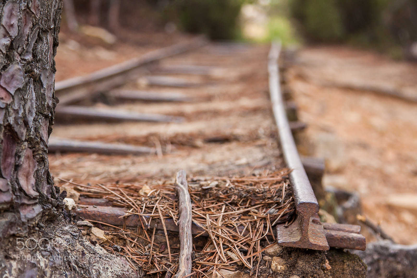Canon EOS 50D sample photo. Abandoned railway line in photography