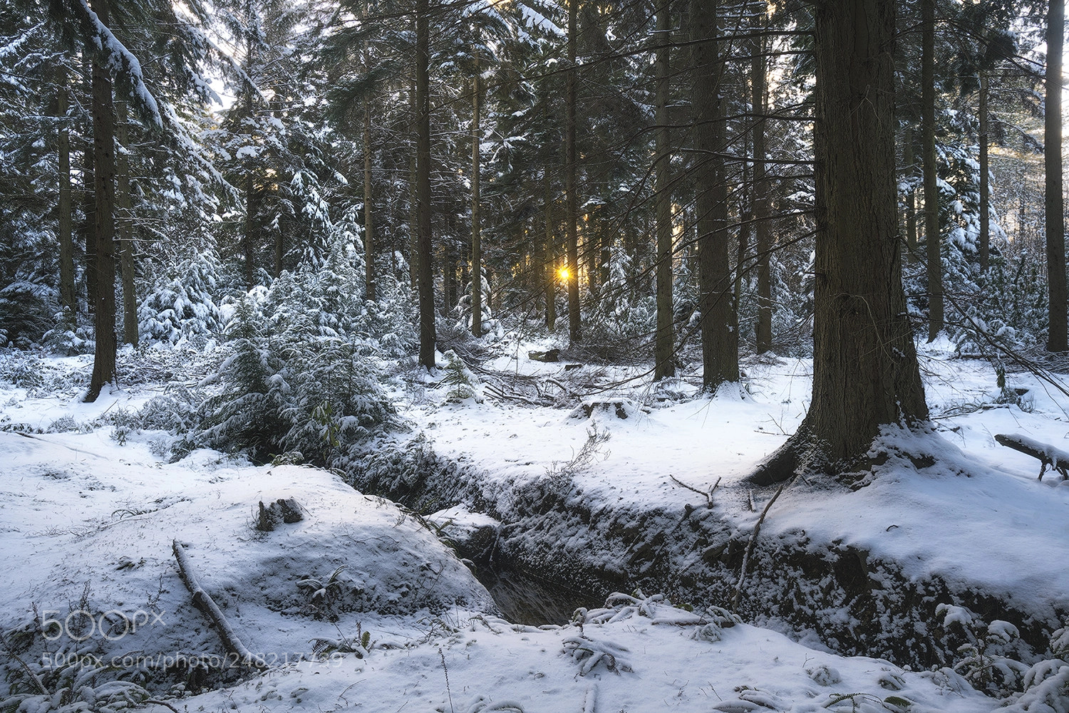 Sony a7R II sample photo. Winters touch photography