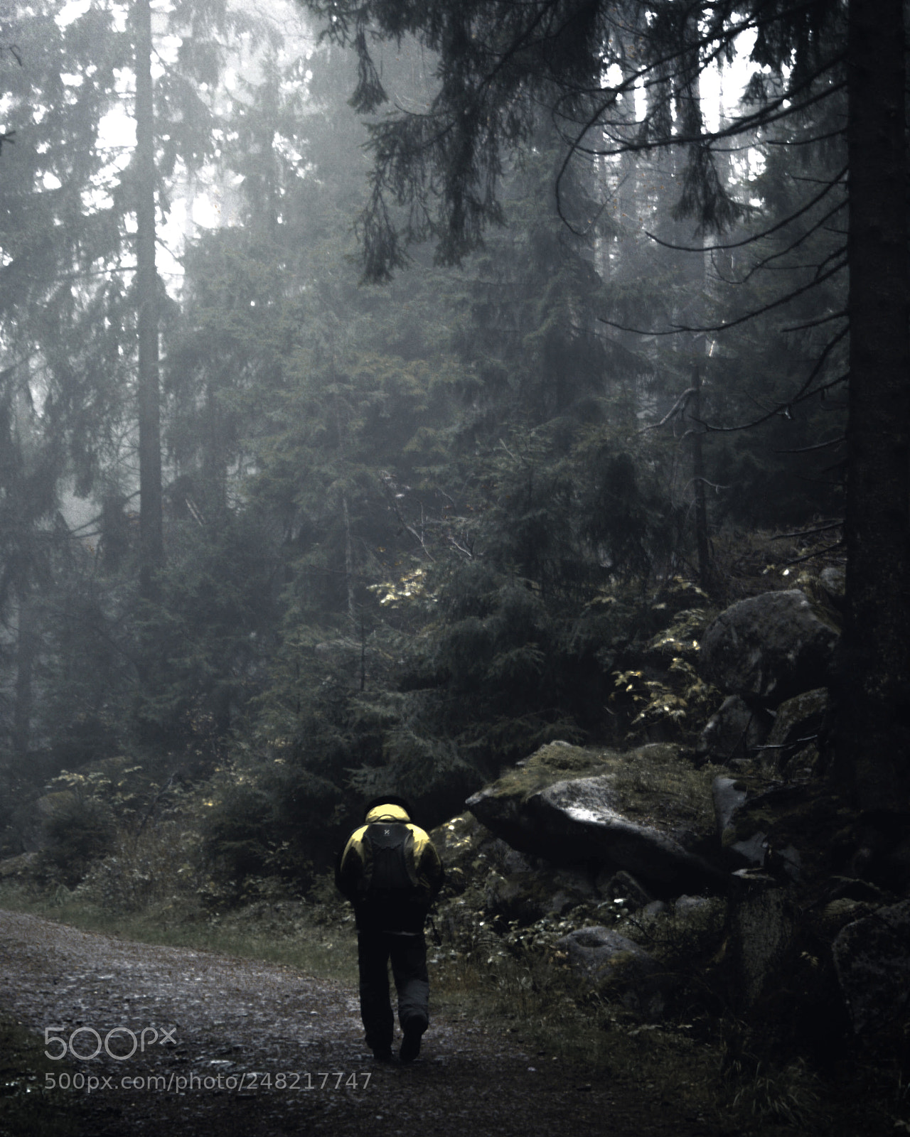 Sony Alpha DSLR-A300 sample photo. The journey photography