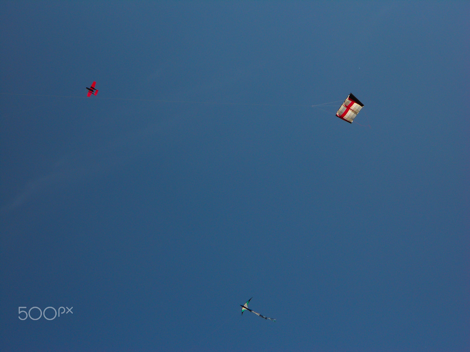 Nikon Coolpix S3100 sample photo. Kites on the sky photography