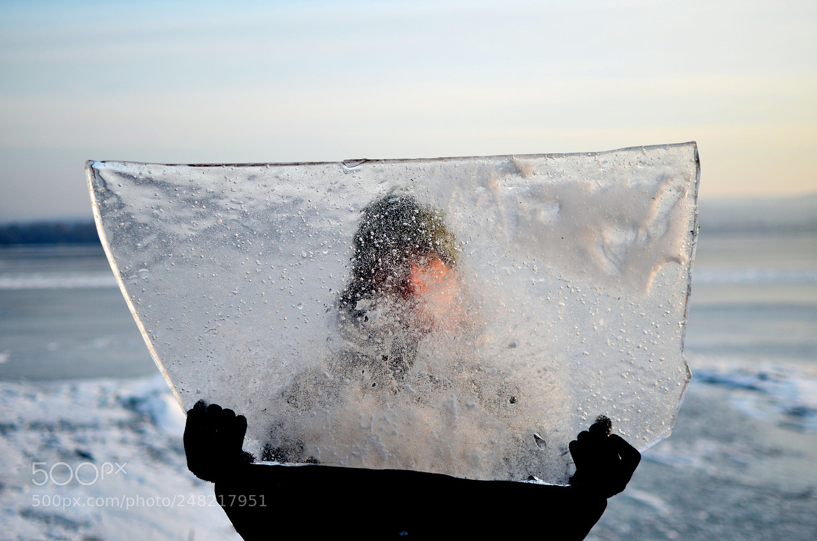 Nikon D5100 sample photo. Frost photography