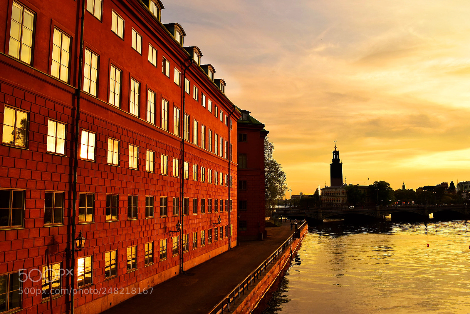 Nikon D5300 sample photo. Golden hour, stockholm photography