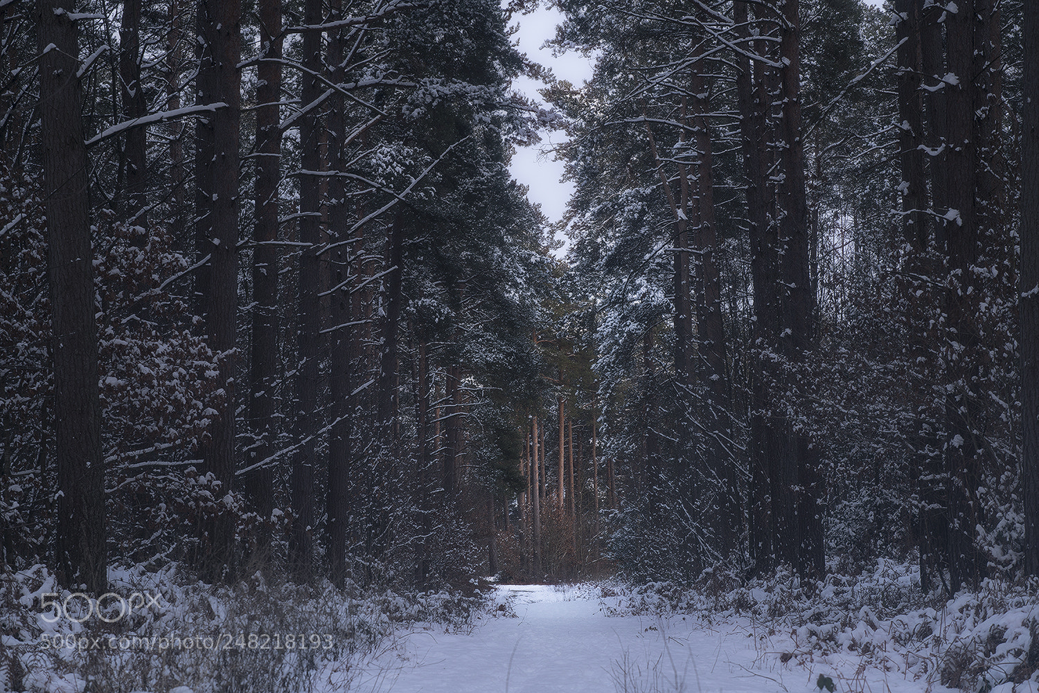 Sony a7R II sample photo. Grail photography