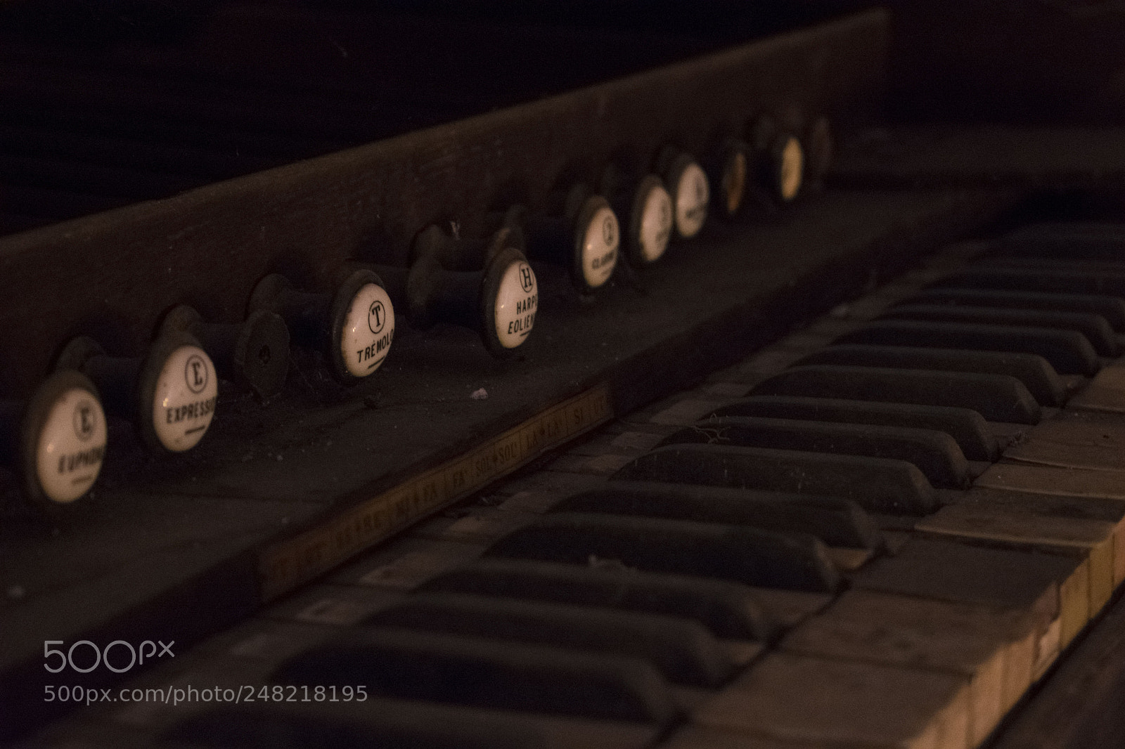 Nikon D3400 sample photo. The black keys never photography