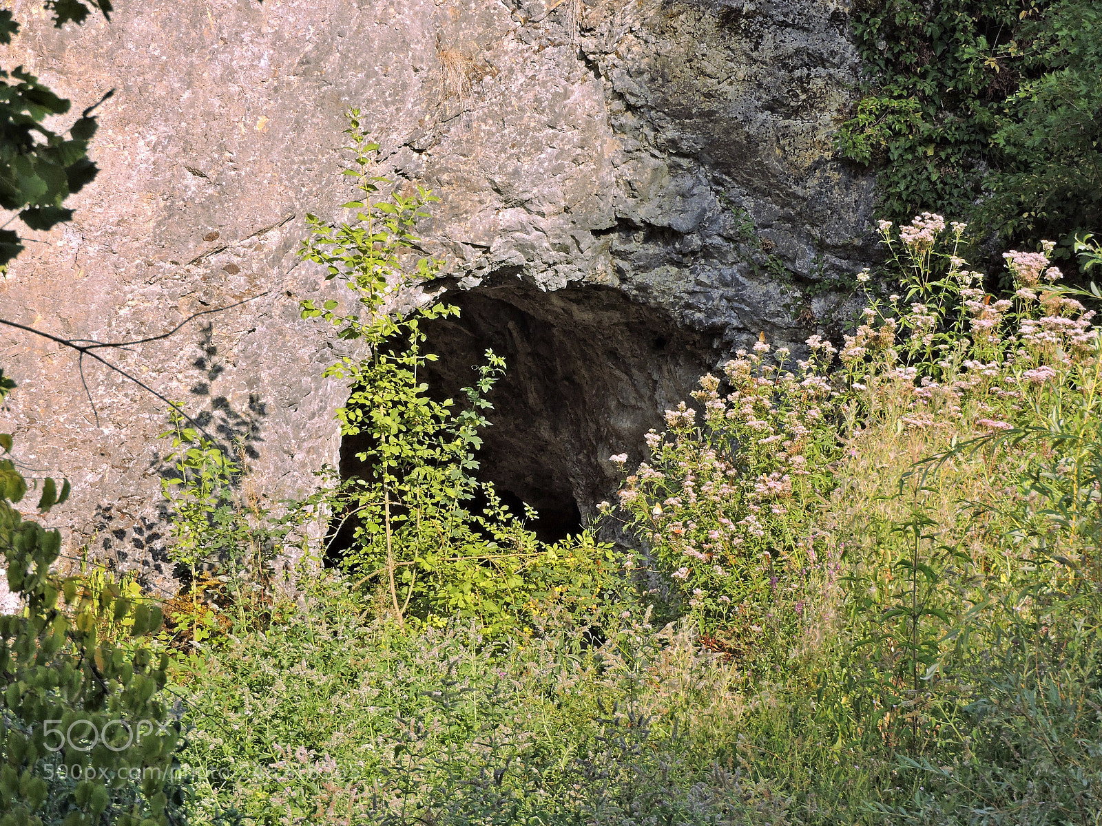 Nikon Coolpix P600 sample photo. Scn cave photography