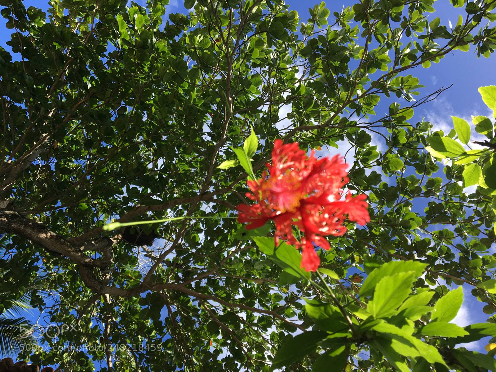 Apple iPhone 6s sample photo. Arraial d'ajuda photography