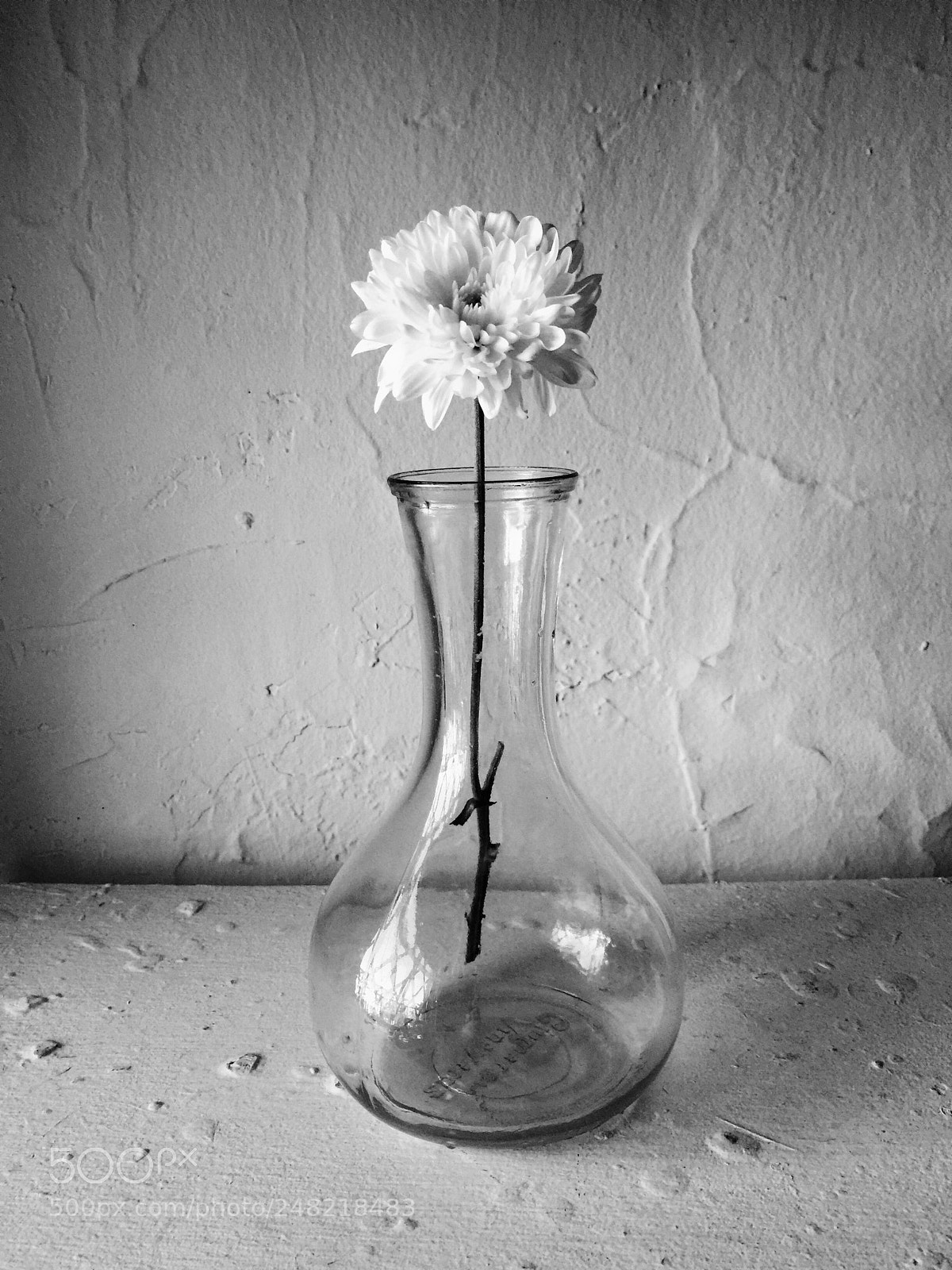 Apple iPhone 6 Plus sample photo. Suspended photography