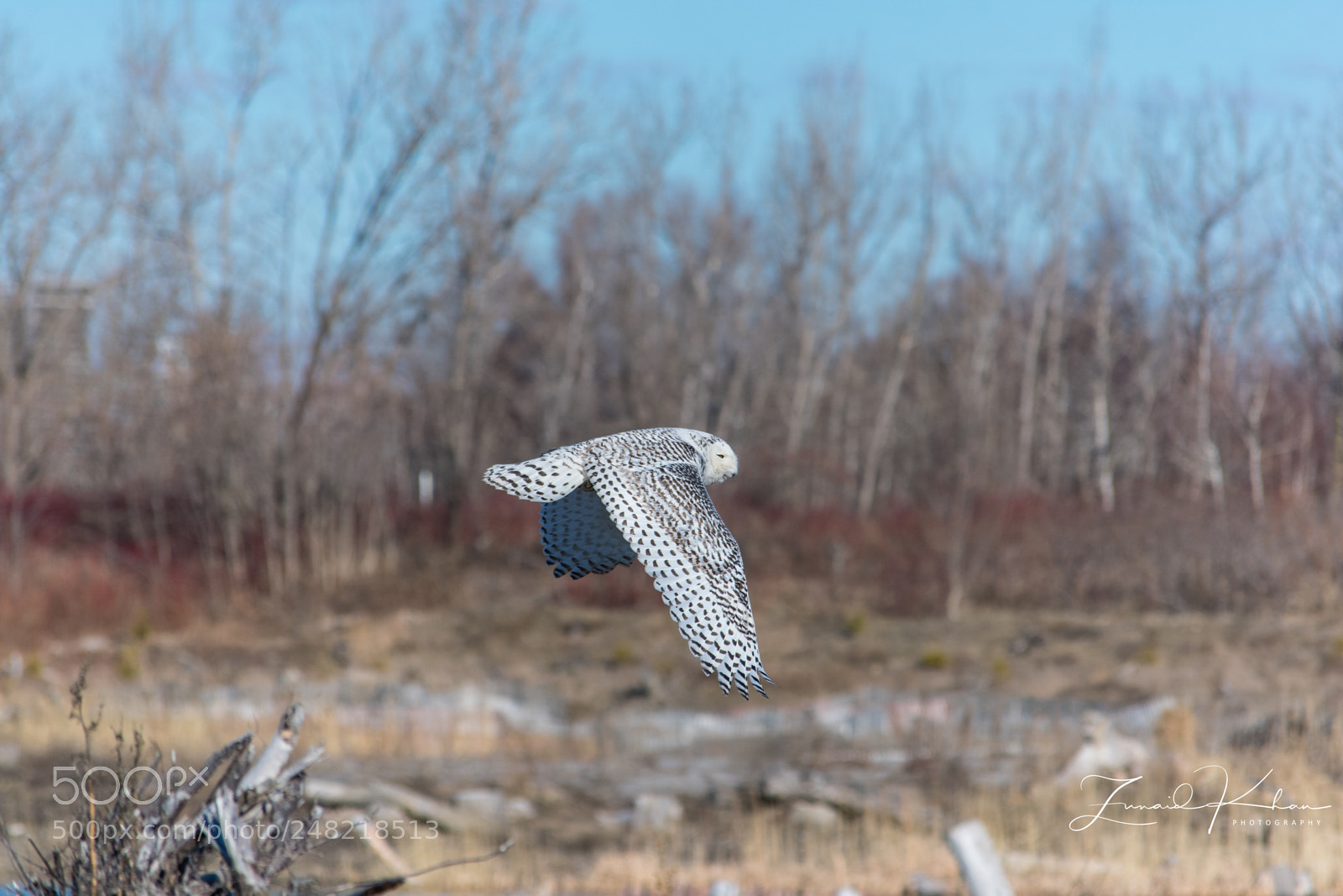 Nikon D3400 sample photo. Stunning photography