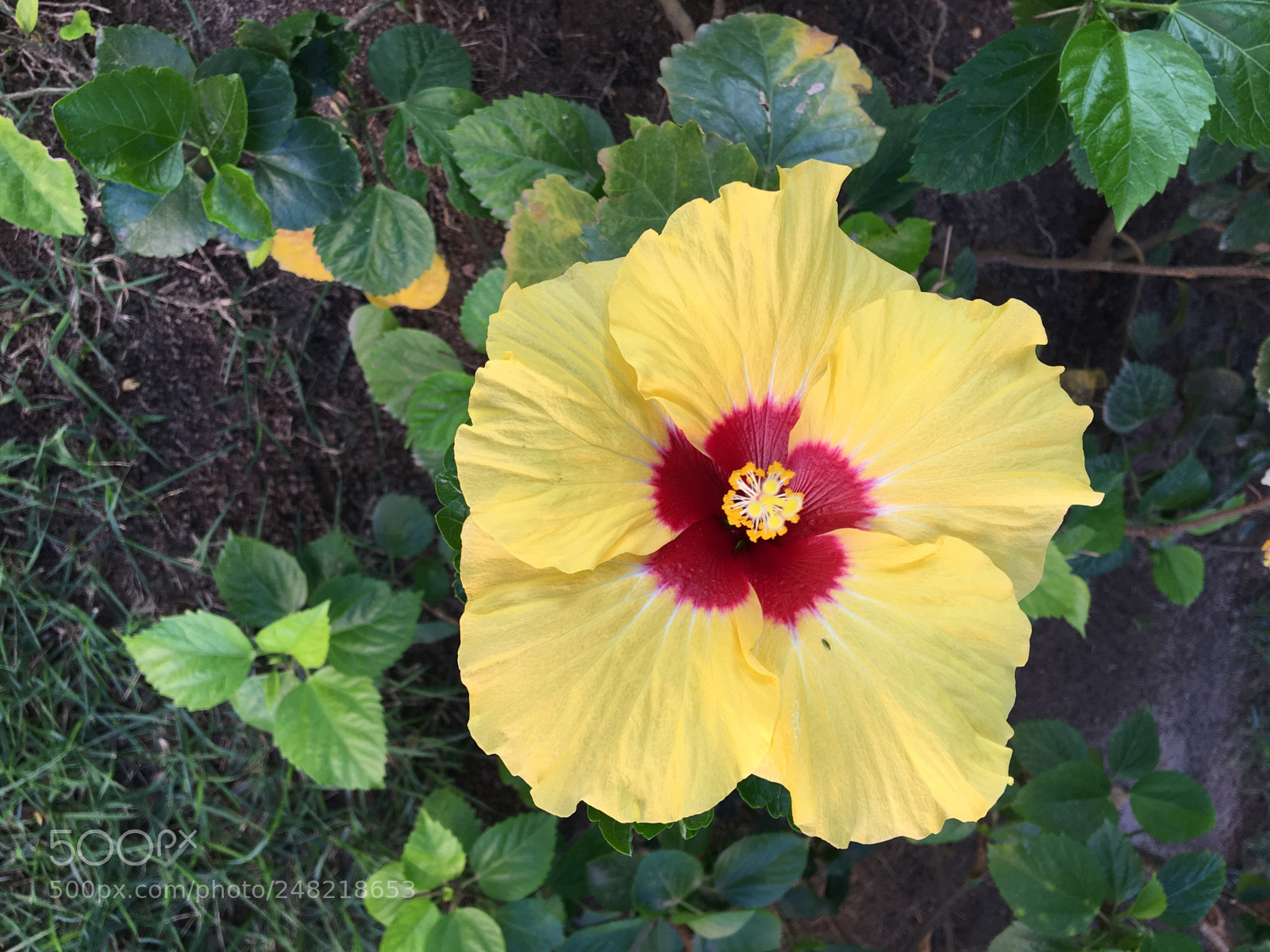 Apple iPhone 6s sample photo. Arraial d'ajuda photography