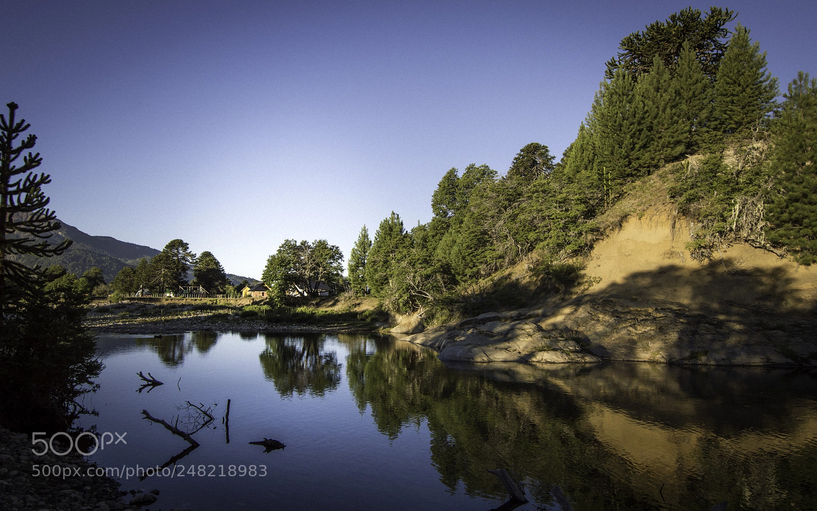 Nikon D3200 sample photo. Summer set photography