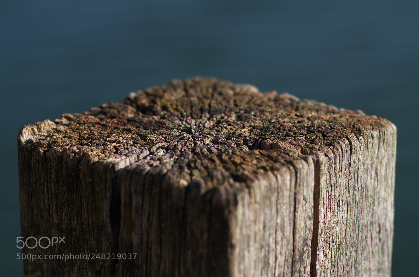 Pentax K-30 sample photo. Lines photography