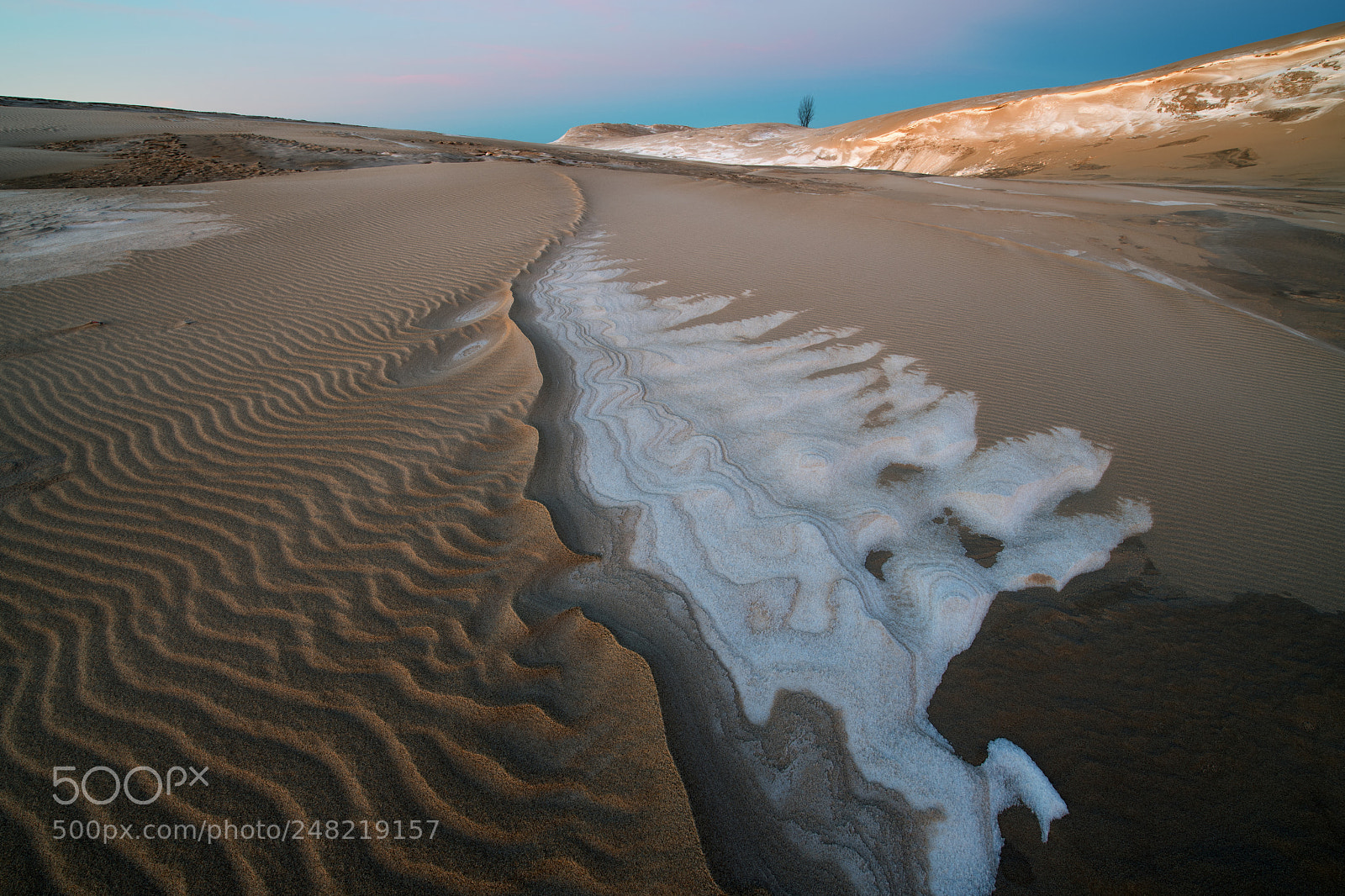 Nikon D850 sample photo. Winter dawn, silver lake photography