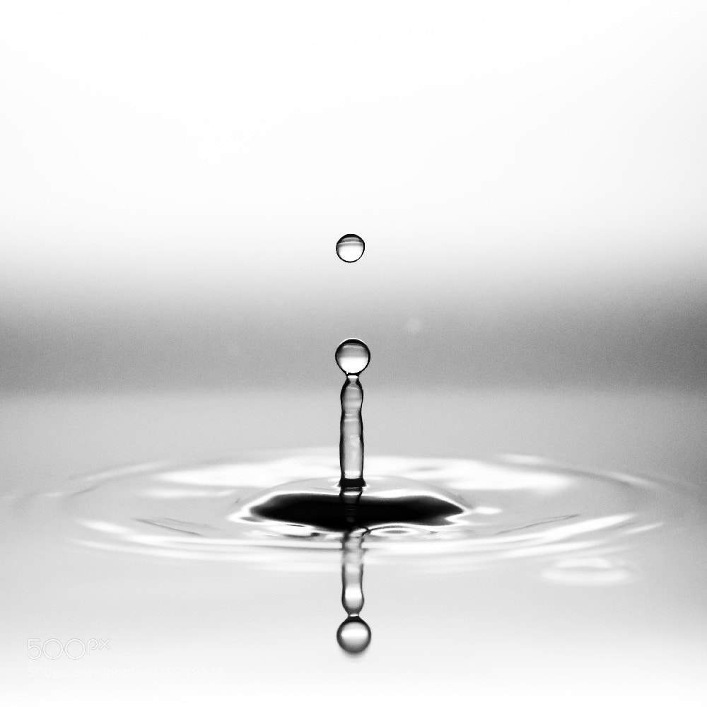 Olympus OM-D E-M10 sample photo. Gota photography