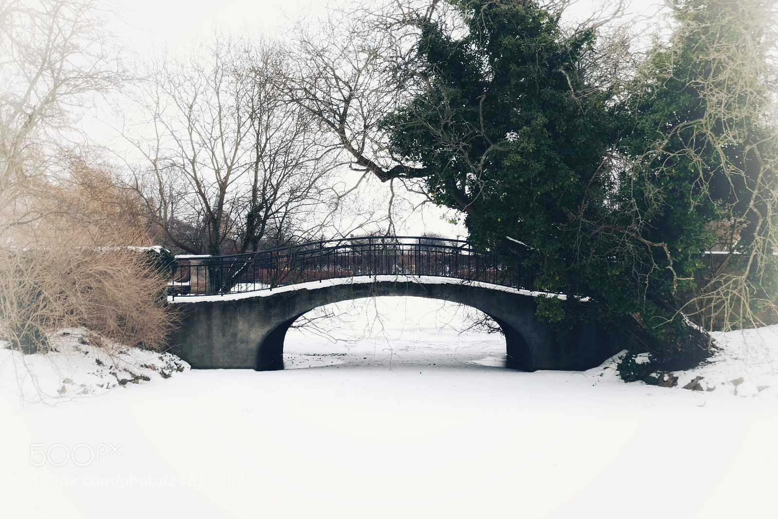 Fujifilm X-T20 sample photo. Winter love.. photography