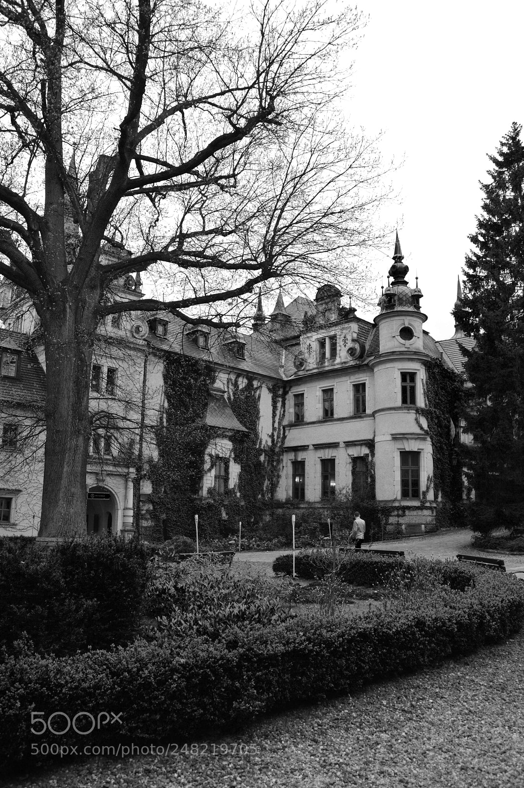 Nikon D3200 sample photo. Castle photography
