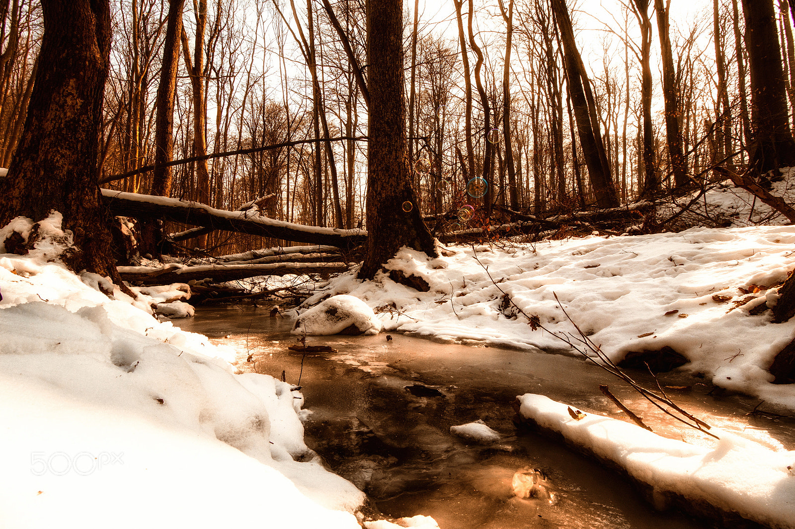 Canon EOS 700D (EOS Rebel T5i / EOS Kiss X7i) sample photo. Winterwonderland photography