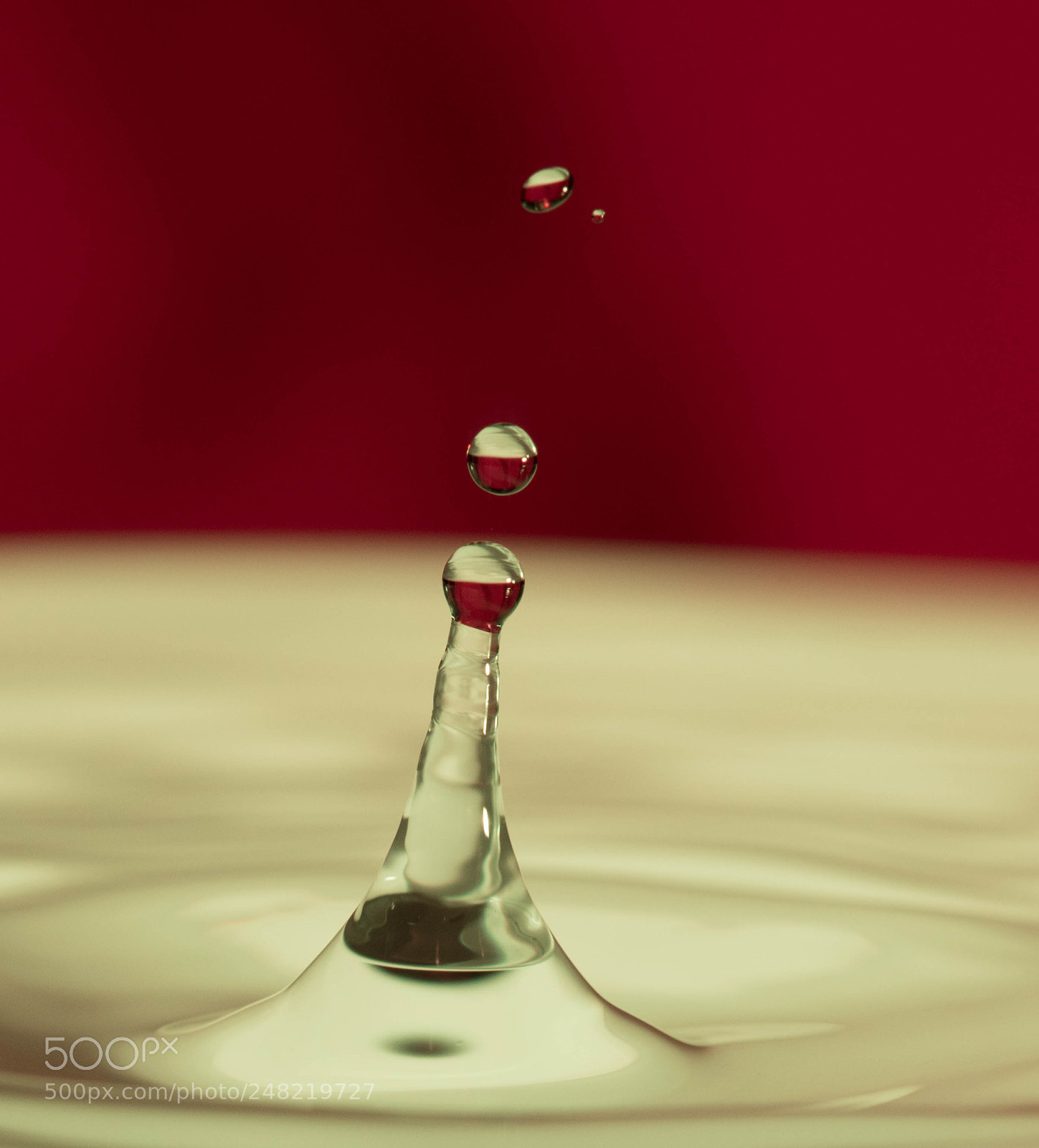 Nikon D850 sample photo. Droplet photography
