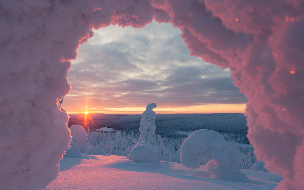 Painted Pink by Matty White on 500px.com