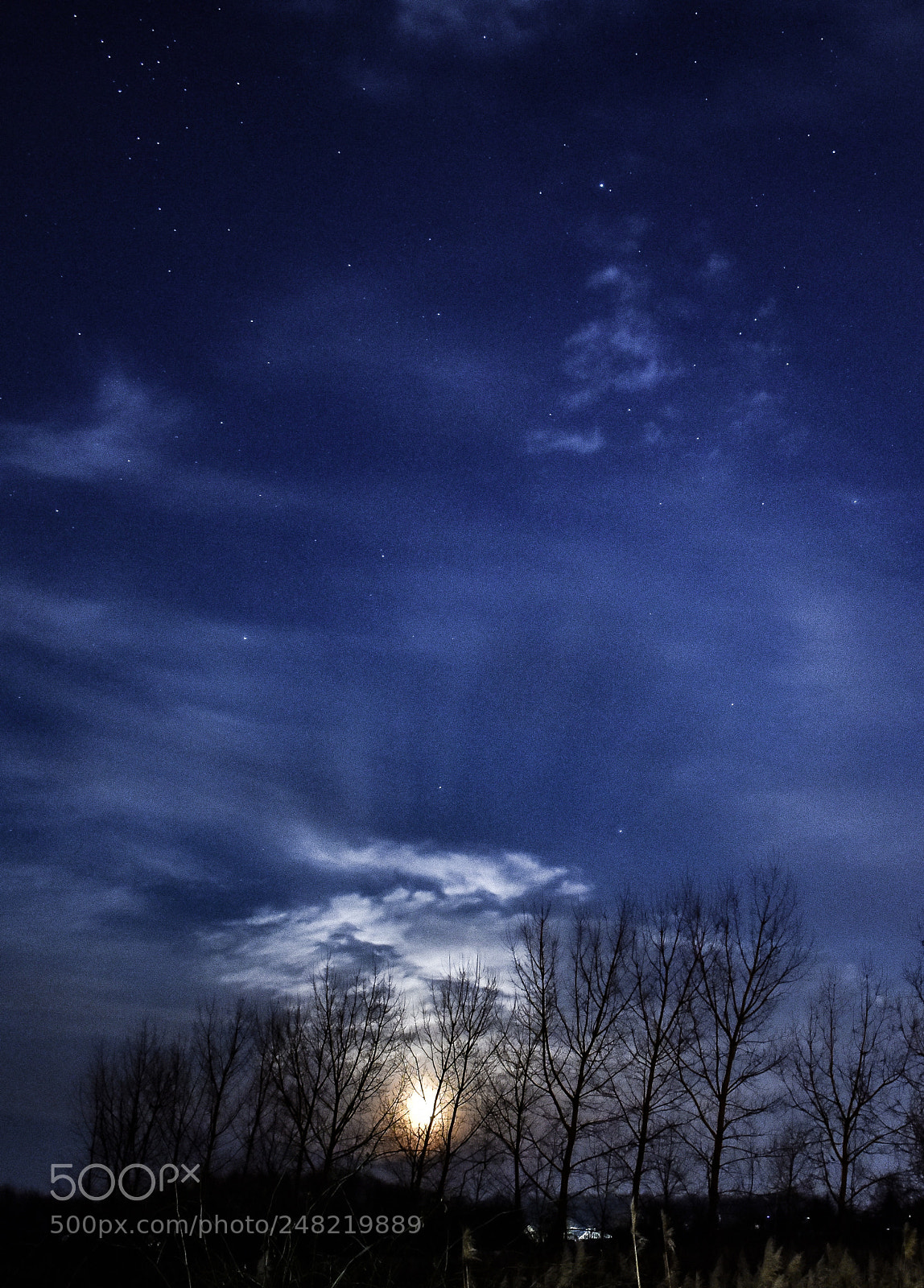 Nikon D3400 sample photo. Winter moonrise photography