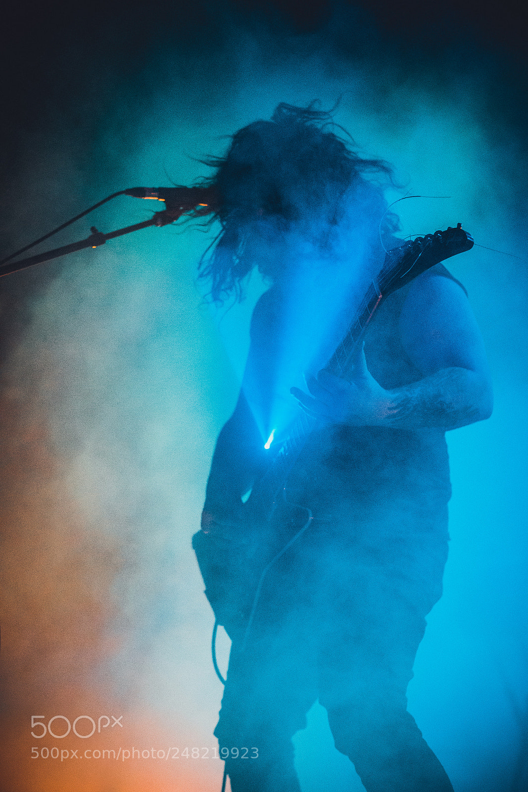 Sony a7R II sample photo. Wolves in the throne photography