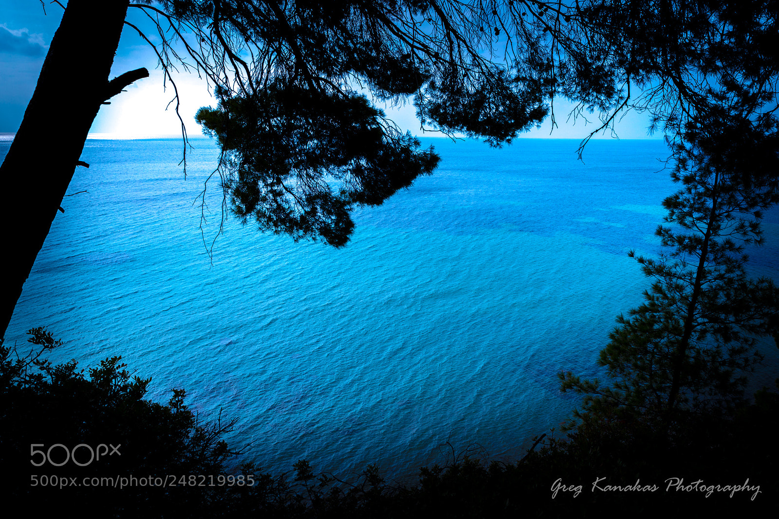 Canon EOS 6D Mark II sample photo. What you sea ... photography