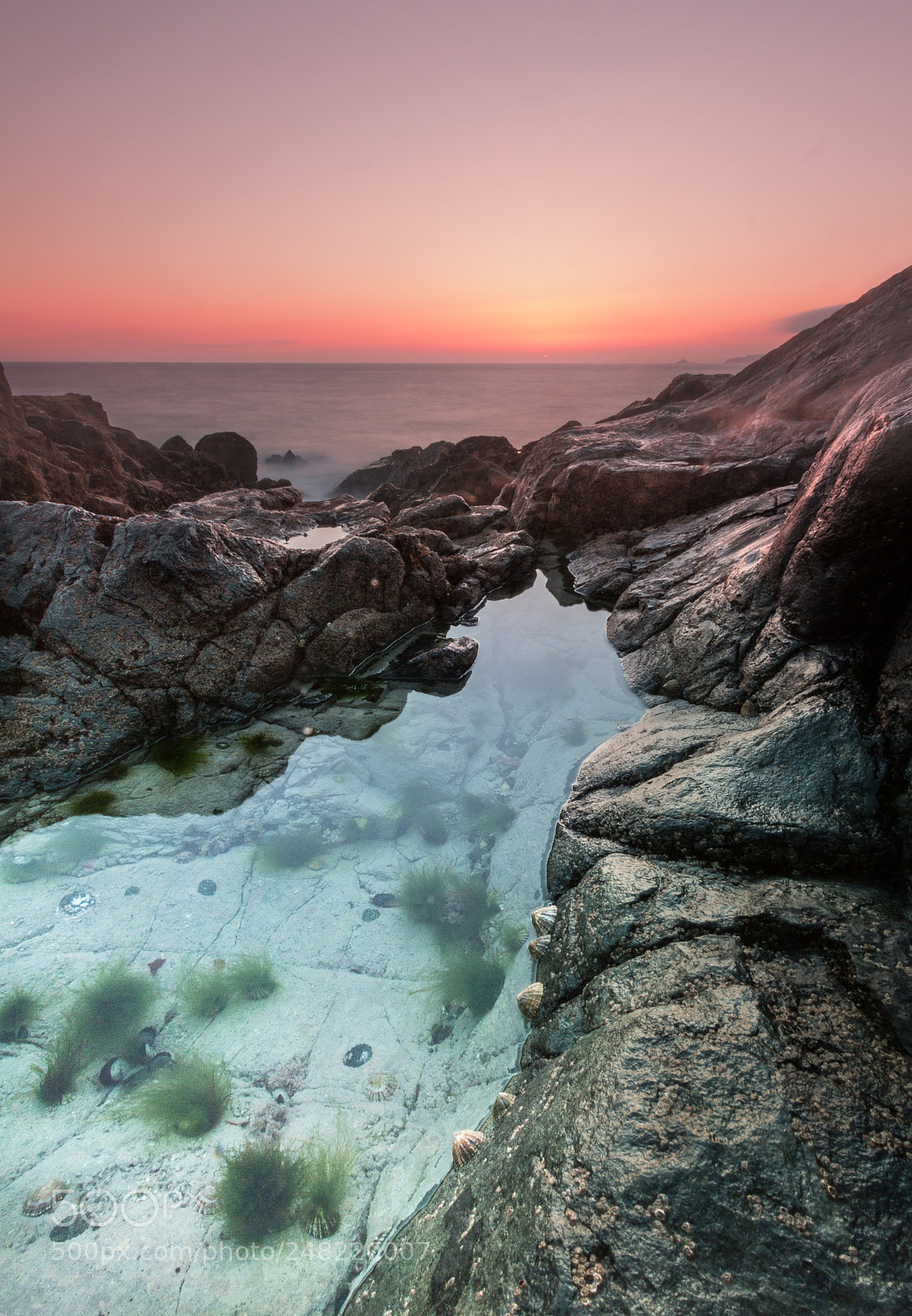 Canon EOS 60D sample photo. Limpits cornwall photography